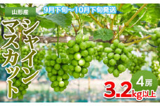 山形市産 シャインマスカット秀3.2kg以上(4房)【前半】  FZ21-207