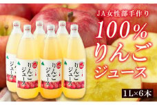 JA女性部手作り「100％りんごジュース」1L×6本 FY25-906