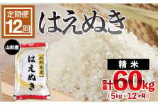 【定期便12回】山形産 はえぬき 5kg×12ヶ月(計60kg)  ブランド米 山形県 山形市 FY24-467