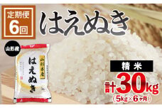 【定期便6回】山形産 はえぬき 5kg×6ヶ月(計30kg)  ブランド米 山形県 山形市 FY24-473