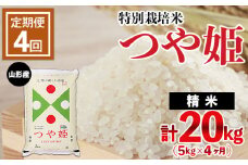 【定期便4回】山形産 特別栽培米 つや姫 5kg×4ヶ月(計20kg)  ブランド米 山形県 山形市 FY24-469