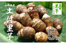 [特選]山形名物 土付里芋 5kg FZ23-137