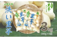 [特選]山形名物 洗い里芋 3kg(500g×6袋) FZ23-136