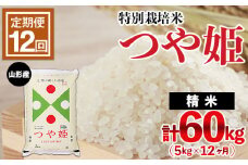 【定期便12回】山形産 特別栽培米 つや姫 5kg×12ヶ月(計60kg)  ブランド米 山形県 山形市 FY24-472