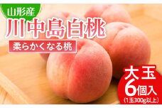 川中島 白桃 秀品 大玉 ６個入 1箱 1.8kg以上[やわらかくなる桃] 【令和7年産先行予約】FU21-007 くだもの 果物 フルーツ 山形 山形県 山形市 2025年産