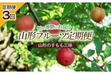 【定期便3回】山形のすもも三昧 【令和7年産先行予約】FS24-606くだもの 果物 フルーツ 山形 山形県 山形市 2025年産