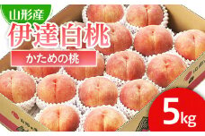山形市産 桃「伊達白桃」 秀以上 5kg(13玉～18玉)[かための桃] 【令和7年産先行予約】FS24-624くだもの 果物 フルーツ 山形 山形県 山形市 2025年産