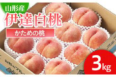 山形市産 桃「伊達白桃」 秀以上 3kg(8玉～11玉)[かための桃] 【令和7年産先行予約】FU21-059 くだもの 果物 フルーツ 山形 山形県 山形市 2025年産