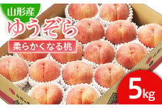 山形市産 桃「ゆうぞら」 秀以上 5kg(15玉～18玉)[柔らかくなる桃] 【令和7年産先行予約】FS24-625くだもの 果物 フルーツ 山形 山形県 山形市 2025年産