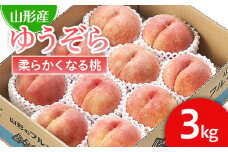 山形市産 桃「ゆうぞら」 秀以上 3kg(8玉～11玉)[柔らかくなる桃] 【令和7年産先行予約】FU21-061 くだもの 果物 フルーツ 山形 山形県 山形市 2025年産