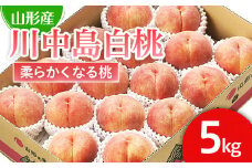 山形市産 桃「川中島白桃」 秀以上 5kg(13玉～18玉)[柔らかくなる桃] 【令和7年産先行予約】FU21-062 くだもの 果物 フルーツ 山形 山形県 山形市 2025年産