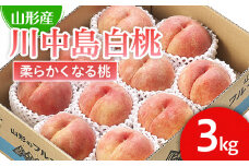 山形市産 桃「川中島白桃」 秀以上 3kg(8玉～11玉)[柔らかくなる桃] 【令和7年産先行予約】FU21-063 くだもの 果物 フルーツ 山形 山形県 山形市 2025年産