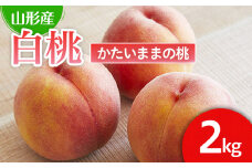 硬い食感が人気！山形産パリパリの硬い桃 約2kg 【令和7年産先行予約】FU21-078 くだもの 果物 フルーツ 山形 山形県 山形市 2025年産