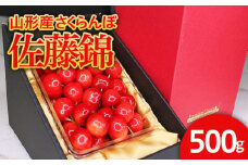 ★旬大粒★山形産 さくらんぼ 佐藤錦 2L 500g 【令和7年産先行予約】FU21-031 くだもの 果物 フルーツ 山形 山形県 山形市 2025年産