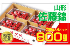 ★山形産 さくらんぼ 佐藤錦★L 800g(200g×4) 【令和7年産先行予約】FS24-671 くだもの 果物 フルーツ 山形 山形県 山形市 2025年産
