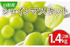 山形市産 シャインマスカット 秀 1.4kg(2房)【令和7年産先行予約】 FS21-607 くだもの 果物 フルーツ 山形 山形県 山形市 2025年産