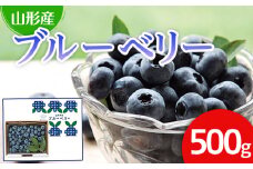 山形市産 ブルーベリー 500g 【令和7年産先行予約】 FU21-606 くだもの 果物 フルーツ 山形 山形県 山形市 2025年産