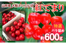 山形産 大粒さくらんぼ 紅てまり 特選 バラ詰め 約600g 【令和7年産先行予約】FS24-637くだもの 果物 フルーツ 山形 山形県 山形市 2025年産