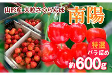 山形産 大粒さくらんぼ 南陽 特選 バラ詰め 約600g 【令和7年産先行予約】FS24-636くだもの 果物 フルーツ 山形 山形県 山形市 2025年産