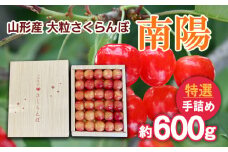 山形産 大粒さくらんぼ 南陽 特選 手詰め 約600g 【令和7年産先行予約】FS24-635くだもの 果物 フルーツ 山形 山形県 山形市 2025年産