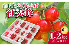 さくらんぼ 紅秀峰 L 1.2kg(200g×6) 【令和7年産先行予約】FS24-584くだもの 果物 フルーツ 山形 山形県 山形市 2025年産