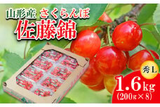 さくらんぼ 佐藤錦 L 1.6kg(200g×8) 【令和7年産先行予約】FU21-817 くだもの 果物 フルーツ 山形 山形県 山形市 2025年産