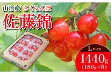 さくらんぼ 佐藤錦 L 1440g(180g×8) 【令和8年産先行予約】FS25-533 くだもの 果物 フルーツ 山形 山形県 山形市 2026年産