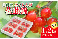 さくらんぼ 佐藤錦 Ｌ(200g×6) 【令和7年産先行予約】FU21-818 くだもの 果物 フルーツ 山形 山形県 山形市 2025年産