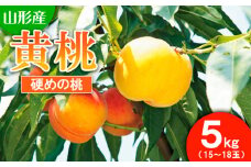 山形市産 もも(黄桃)5kg(15～18玉)[硬めの桃] 【令和7年産先行予約】FU21-820 くだもの 果物 フルーツ 山形 山形県 山形市 2025年産