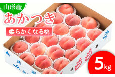 山形市産 もも(あかつき)5kg(16～20玉)[柔らかくなる桃] 【令和7年産先行予約】FU21-822 くだもの 果物 フルーツ 山形 山形県 山形市 2025年産