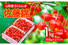 山形市産さくらんぼ 佐藤錦 L以上 1kg(500g×2)バラ詰め 【令和7年産先行予約】FS24-622くだもの 果物 フルーツ 山形 山形県 山形市 2025年産