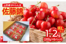山形産 さくらんぼ 佐藤錦 L以上 1.2kg(200g×6パック入) 【令和7年産先行予約】FU21-829 くだもの 果物 フルーツ 山形 山形県 山形市 2025年産