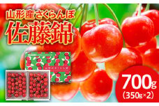 さくらんぼ 佐藤錦 700g バラ詰め 特秀Ｌ 【令和7年産先行予約】FU21-613 くだもの 果物 フルーツ 山形 山形県 山形市 2025年産