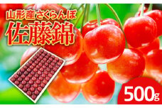 さくらんぼ 佐藤錦 500g 特秀2L 並び詰 桐箱 【令和7年産先行予約】 FS21-615 くだもの 果物 フルーツ 山形 山形県 山形市 2025年産