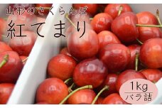 山形のさくらんぼ 紅てまり 1kg Lサイズ以上 バラ詰 【令和7年産先行予約】FS24-560くだもの 果物 フルーツ 山形 山形県 山形市 2025年産