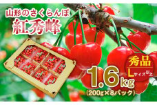 山形のさくらんぼ 紅秀峰 1.6kg(200g×8パック) Lサイズ以上 【令和7年産先行予約】FS24-556くだもの 果物 フルーツ 山形 山形県 山形市 2025年産