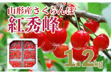 山形のさくらんぼ 紅秀峰 1.2kg(200g×6パック) Lサイズ以上 【令和7年産先行予約】FS24-555くだもの 果物 フルーツ 山形 山形県 山形市 2025年産