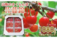 山形のさくらんぼ 佐藤錦 1080g (180g×6パック) Lサイズ以上 【令和8年産先行予約】FS25-514 くだもの 果物 フルーツ 山形 山形県 山形市 2026年産