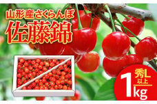 山形のさくらんぼ 佐藤錦 1kg Lサイズ以上 バラ詰 【令和7年産先行予約】FS24-549くだもの 果物 フルーツ 山形 山形県 山形市 2025年産