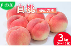 山形の桃(硬い品種)3kg(6～12玉) 【令和7年産先行予約】FU21-629 フルーツ くだもの 果物 山形 山形県 山形市 2025年産