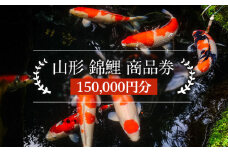 山形 錦鯉 商品券 150,000円分 FY21-490
