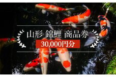 山形 錦鯉 商品券 30,000円分 FY21-491