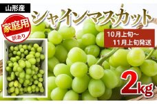 【ご家庭用】シャインマスカット 2kg入り 1箱 [後半] 【令和7年産先行予約】FU21-632 フルーツ くだもの 果物 山形 山形県 山形市 ぶどう 葡萄 ブドウ 訳あり 2025年産