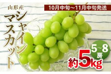 山形の大粒シャインマスカット 秀品 約5kg(5～8房)[10中旬～11月中旬発送] 【令和7年産先行予約】FS24-646くだもの 果物 フルーツ 山形 山形県 山形市 2025年産