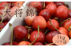 山形のさくらんぼ 大将錦 1kg Lサイズ以上 バラ詰 【令和7年産先行予約】FS24-561くだもの 果物 フルーツ 山形 山形県 山形市 2025年産