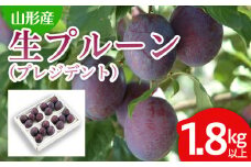 山形の生プルーン(プレジデント)1.8kg以上(450g×4パック) 【令和7年産先行予約】FS24-654くだもの 果物 フルーツ 山形 山形県 山形市 2025年産