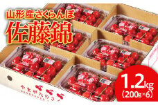 山形産 さくらんぼ 佐藤錦 1.2kg(200g×6) 【令和7年産先行予約】FU21-660 フルーツ くだもの 果物 山形 山形県 山形市 2025年産