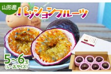 山形市産 パッションフルーツ 5～6玉(L～2Lサイズ) 【令和7年産先行予約】FU21-667 フルーツ くだもの 果物 山形 山形県 山形市