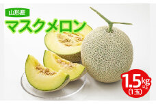 農家こだわり！山形産 マスクメロン 秀品 1玉 【令和7年産先行予約】FU21-673 くだもの 果物 フルーツ 山形 山形県 山形市 2025年産