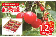 山形産 さくらんぼ(紅秀峰) L以上 1.2kg(200g×6パック) 【令和7年産先行予約】FU21-677 フルーツ くだもの 果物 山形 山形県 山形市 2025年産